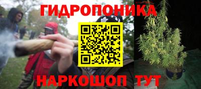 спайс Коммунар