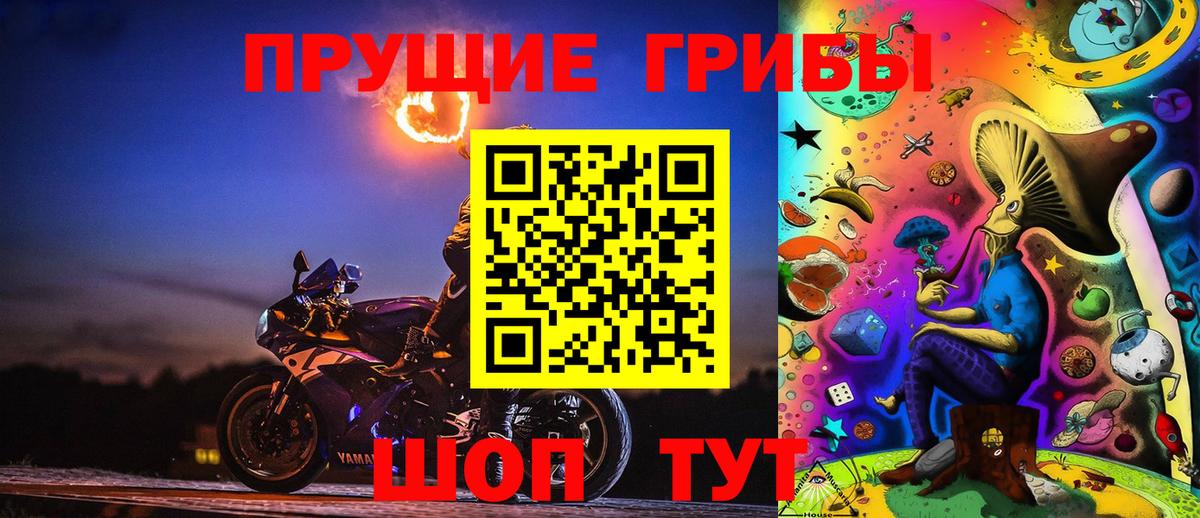 Псилоцибиновые грибы Psilocybine cubensis  Псилоцибиновые грибы прущие грибы  Вход с VPN  Касимов 